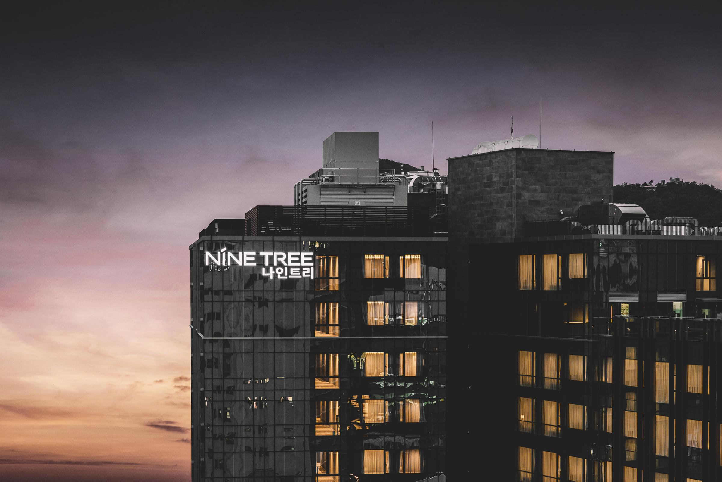 Отель Nine Tree By Parnas Seoul Insadong Экстерьер фото